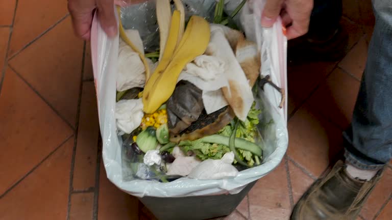 Best Property Management Cleanouts  in Huntingdon, PA